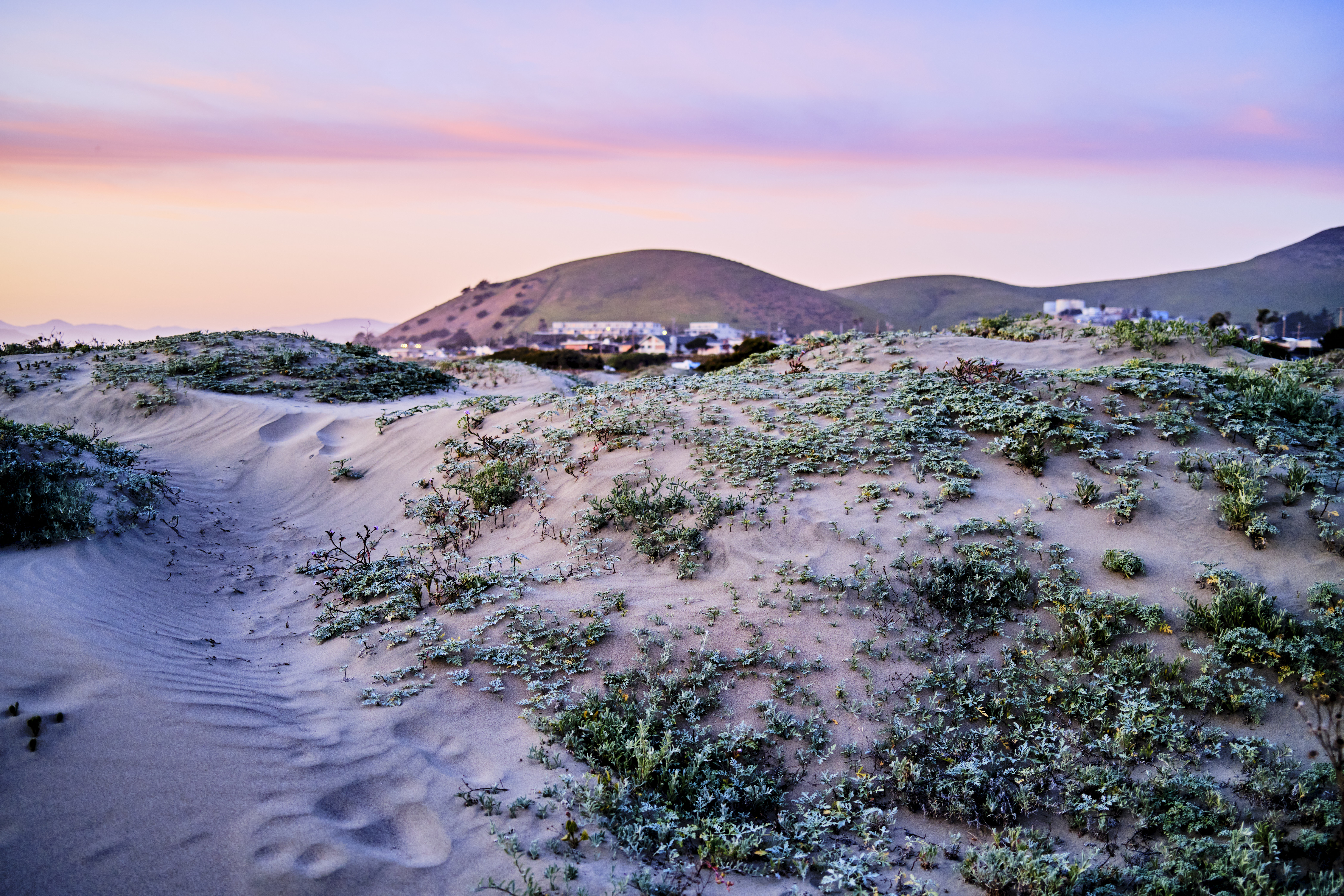 Image "DSCF3614.jpg"