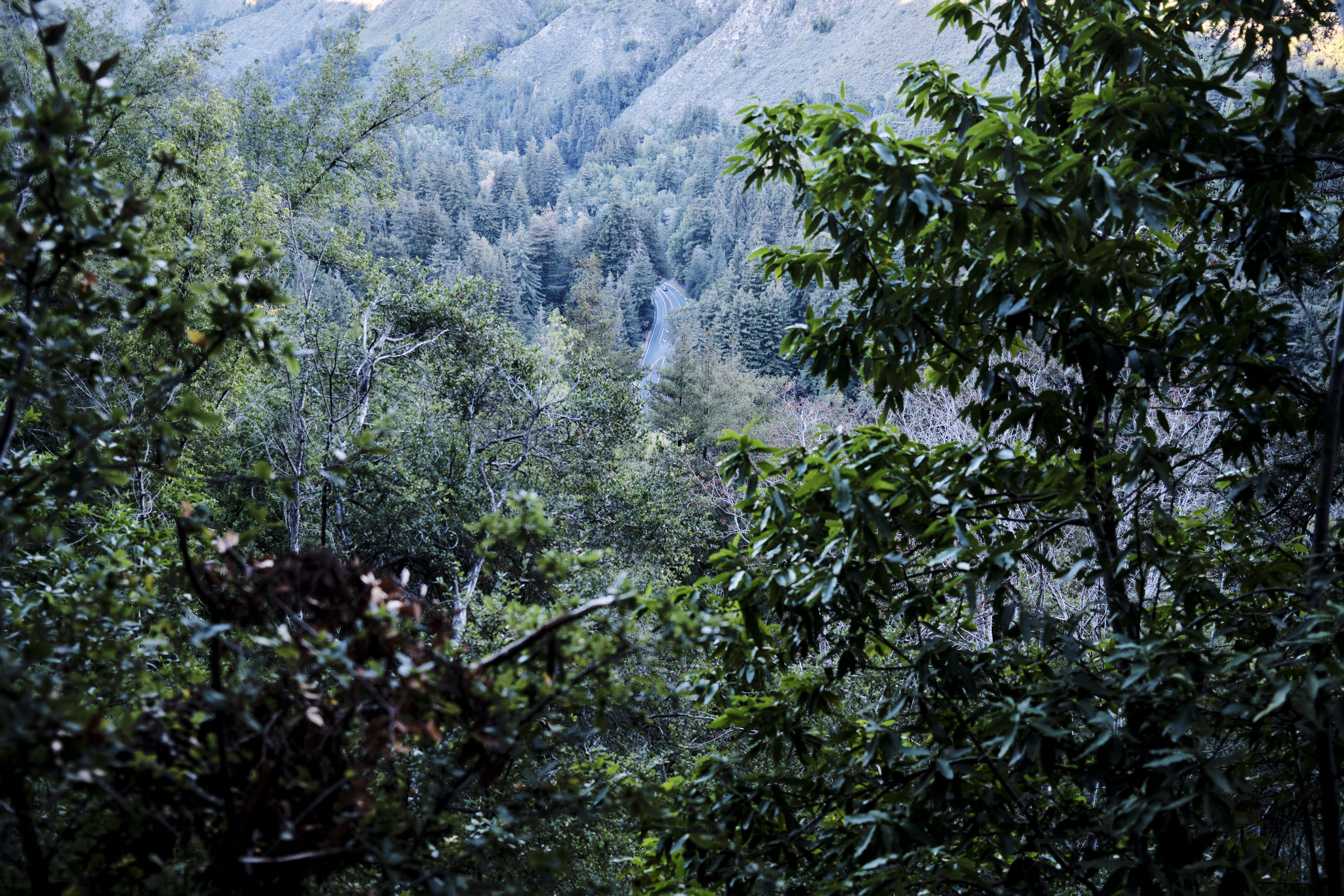 Image "DSCF2639.jpg"