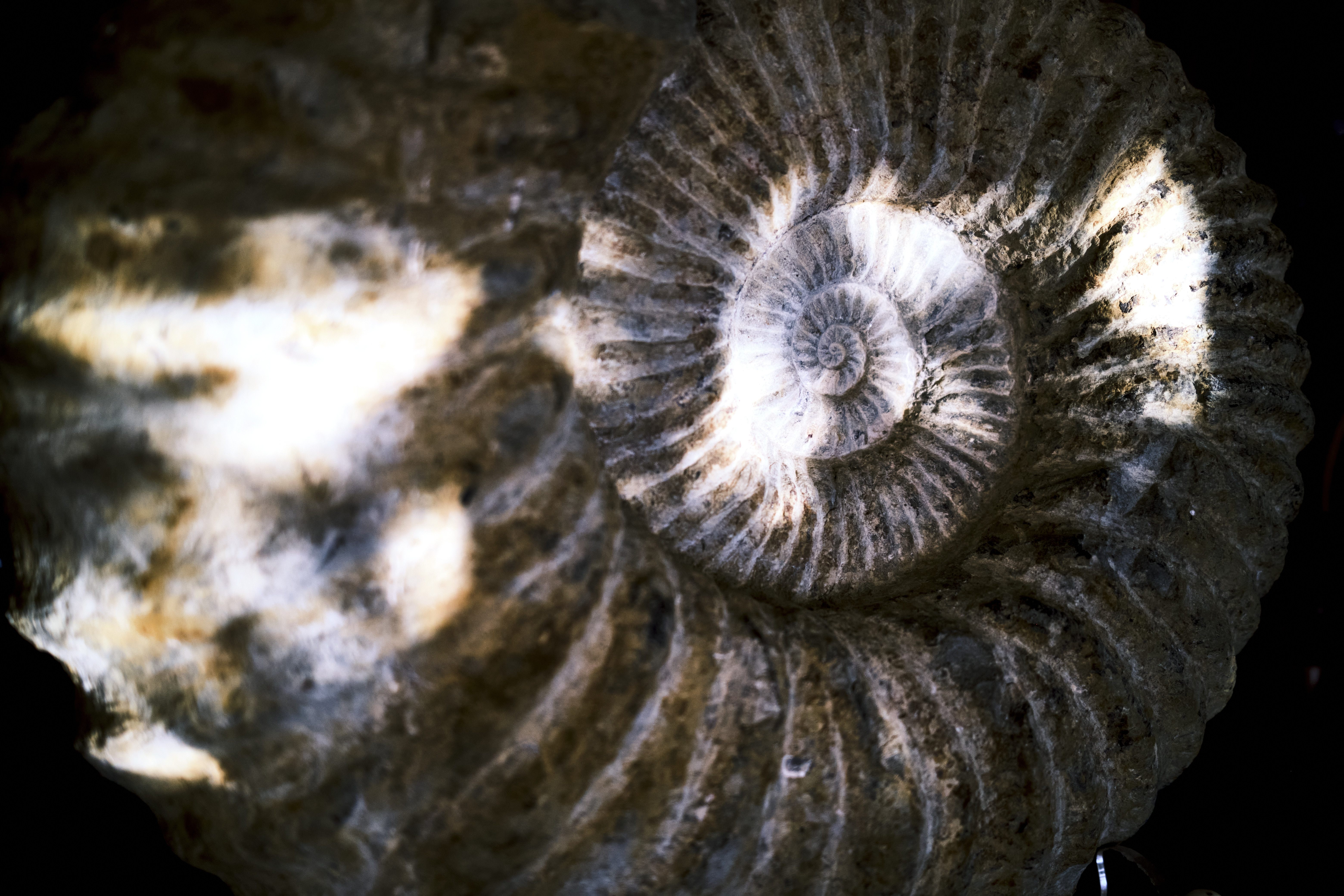 Image "DSCF1270.jpg"