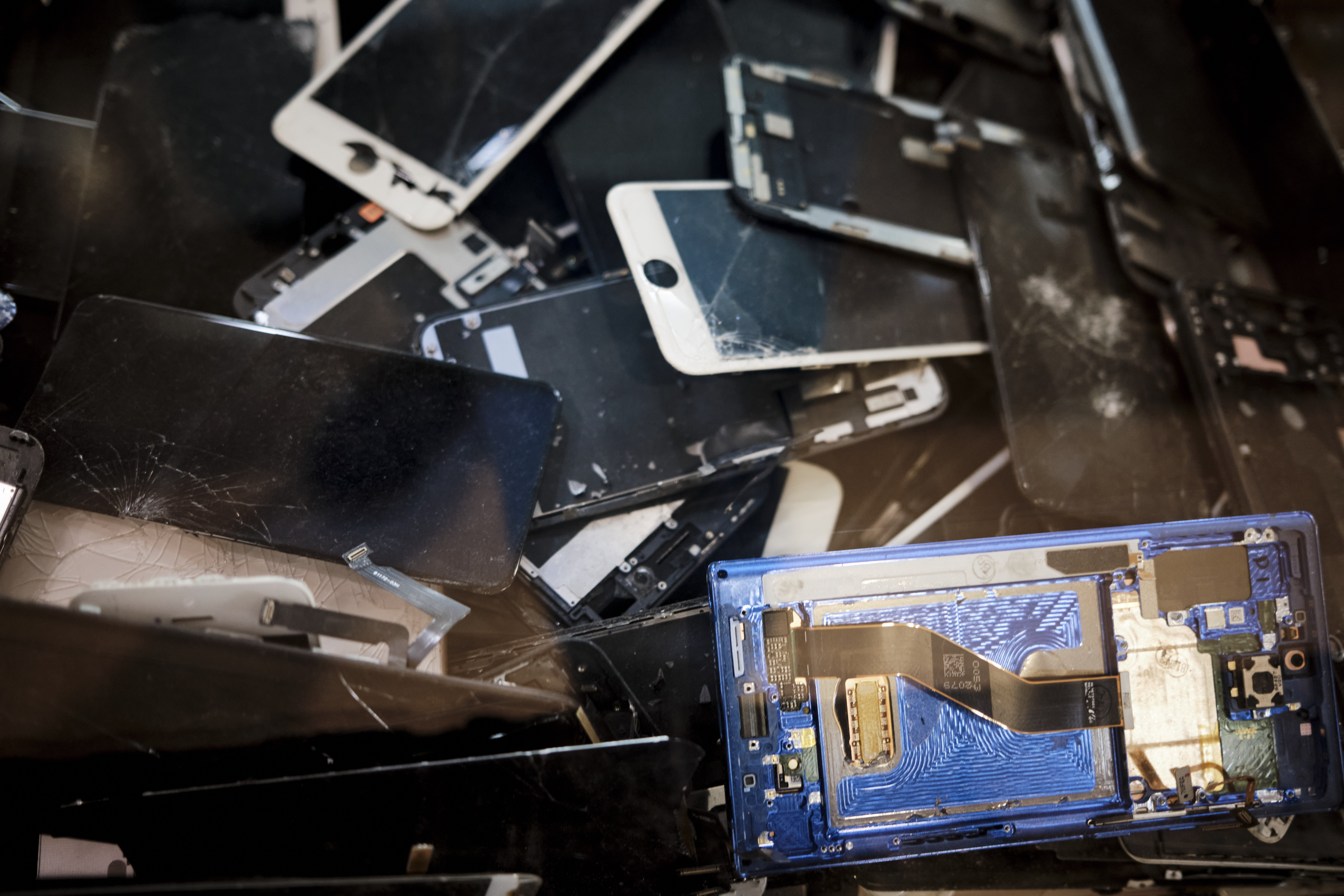 Image "DSCF1147.jpg"