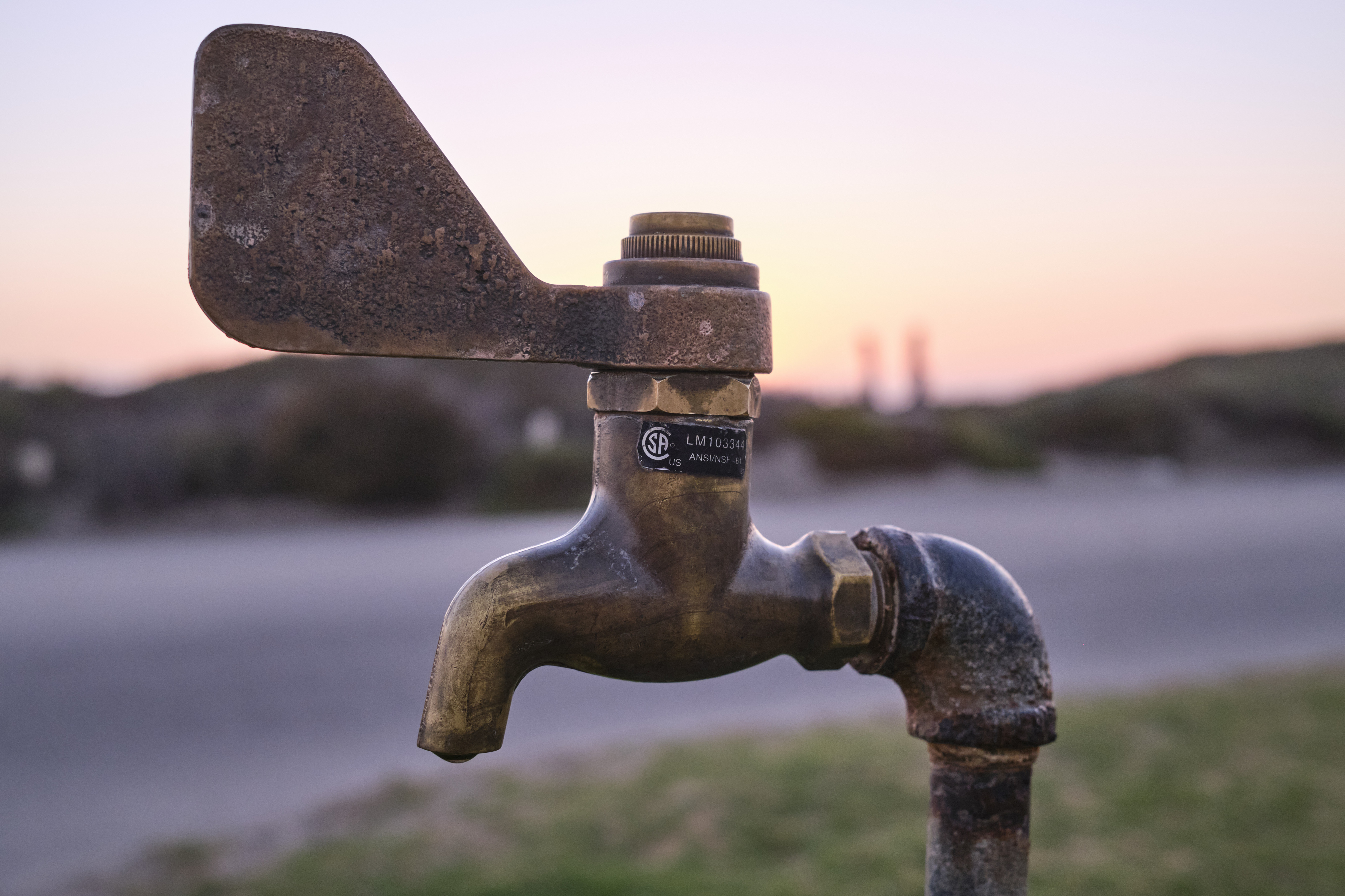 Image "DSCF0715 1.jpg"